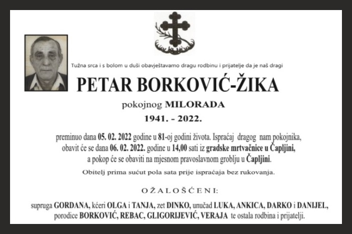 Petar  Borković-Žika