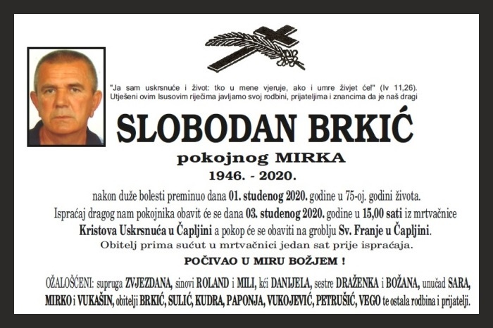 Slobodan  Brkić