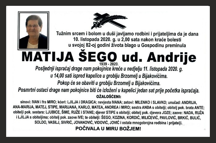 Matija  Šego