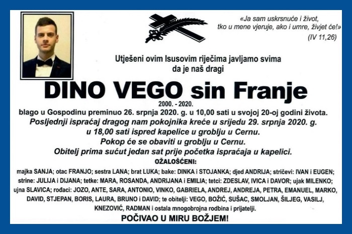Dino  Vego
