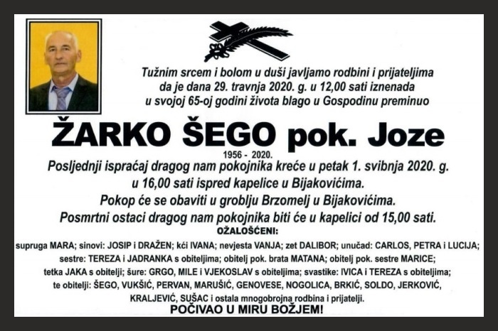 Žarko  Šego