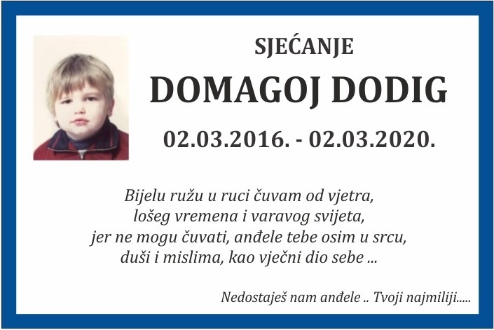 Domagoj  Dodig
