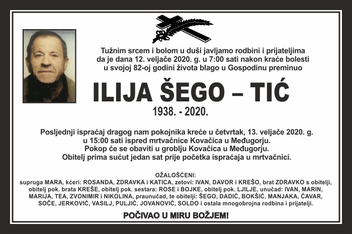 Ilija Šego –  Tić