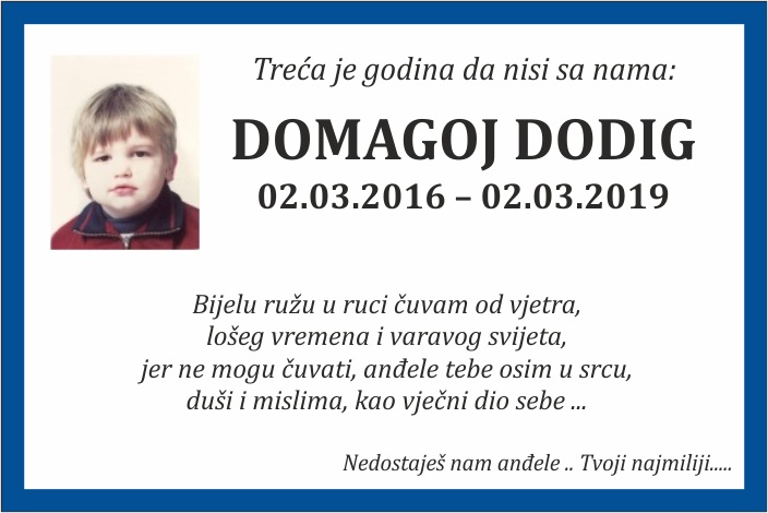 Domagoj  Dodig
