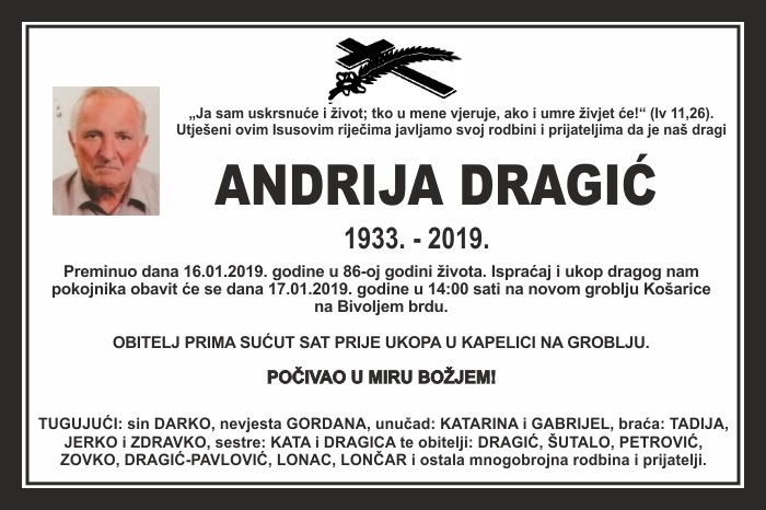 Andrija  Dragić