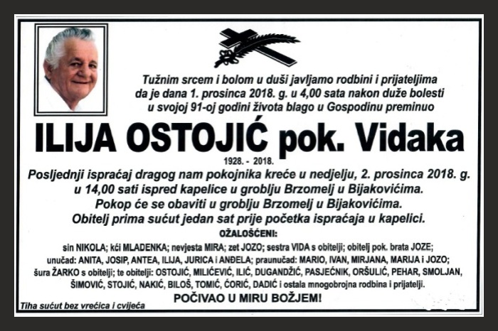 Ilija  Ostojić