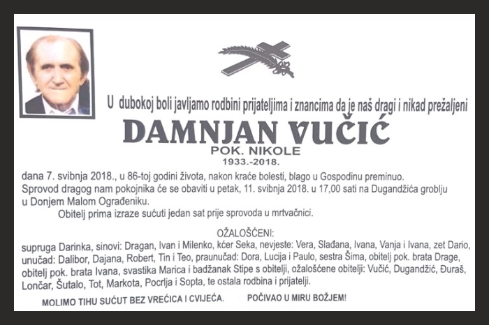 Damnjan  Vučić