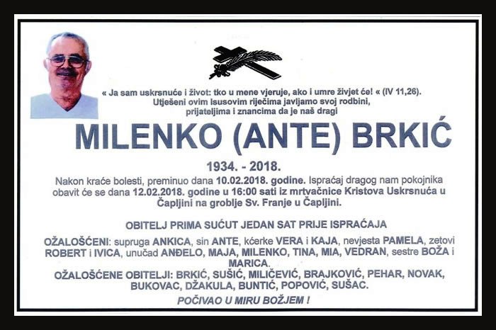 Milenko  Brkić