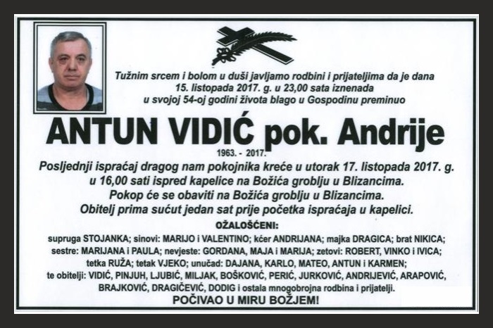 Antun  Vidić