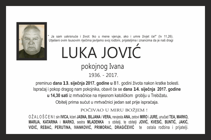 Luka  Jović