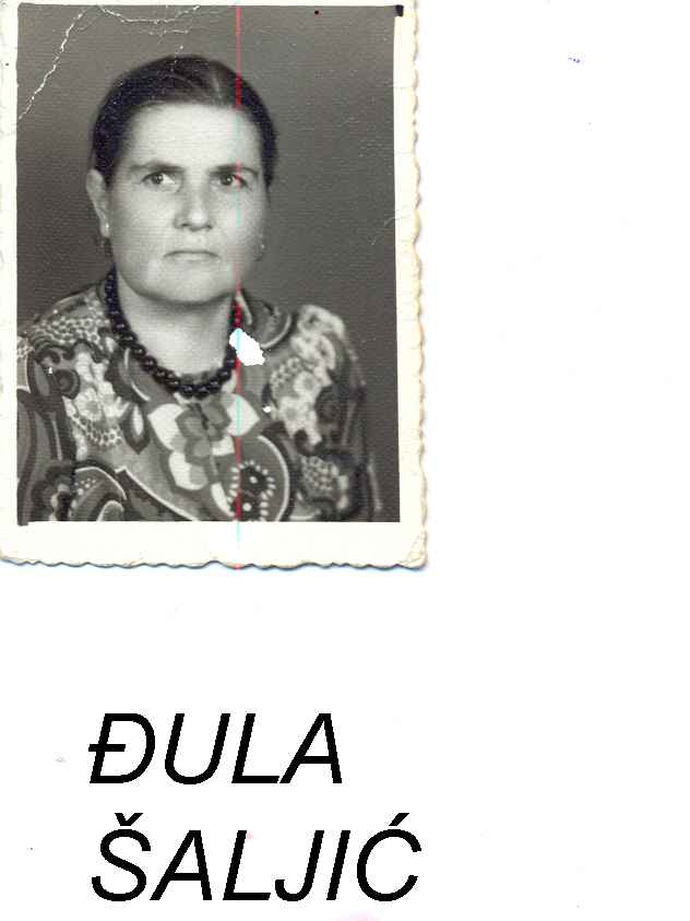 Đula   Šaljić