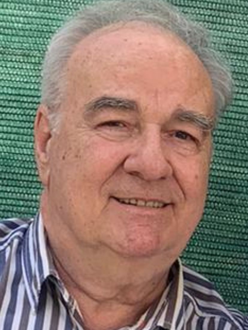 Irfan (Sulejman) Begić