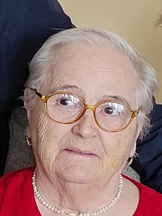 Nafa - Šaza (Dažfer) Hamzić -dje. Pešarić