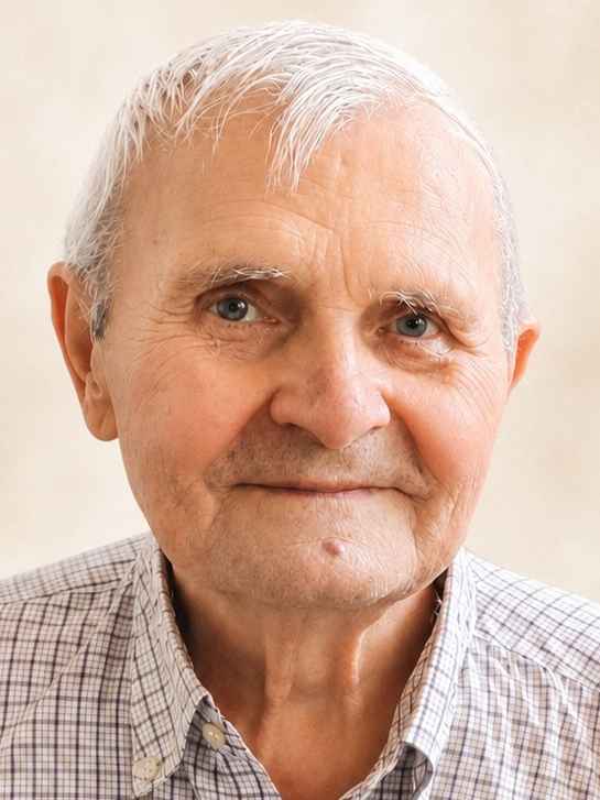 Budimir  (Živko) Džabić