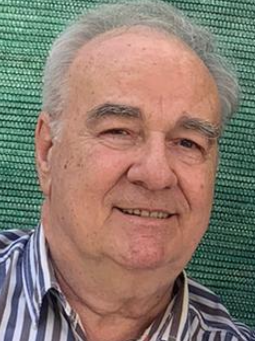 Irfan (Sulejman) Begić