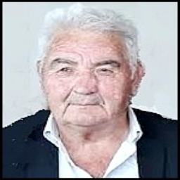 Pavo  Puljić