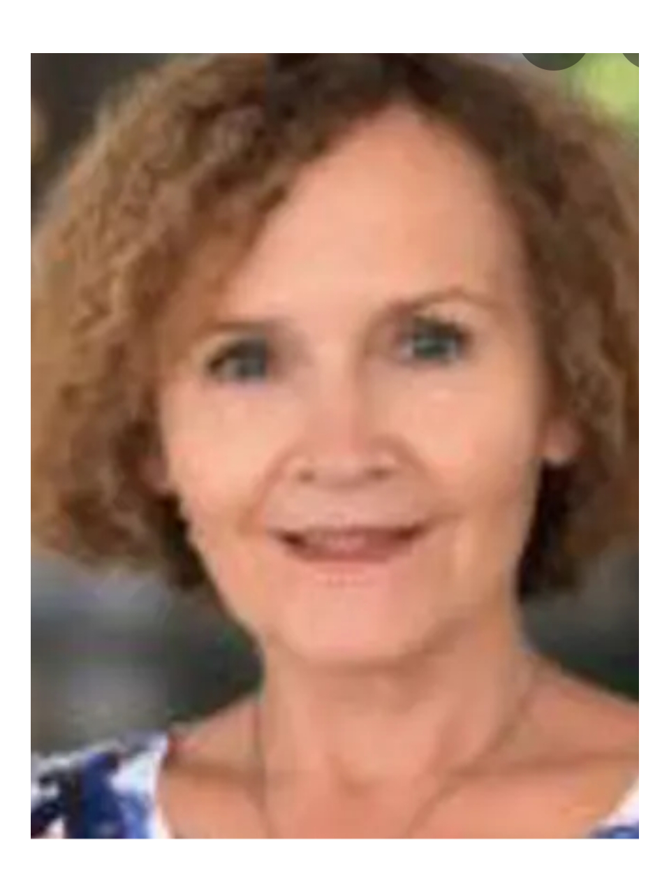 Mevlida  Dautbegović