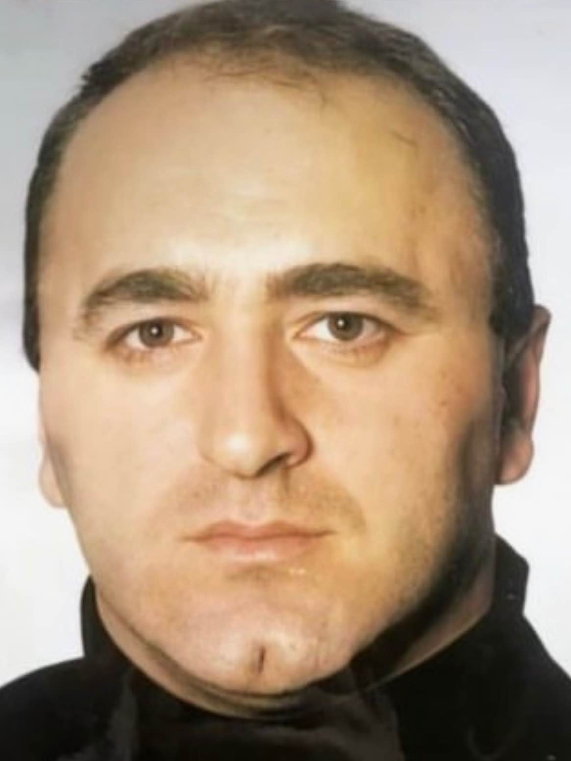Elvin   Pašić