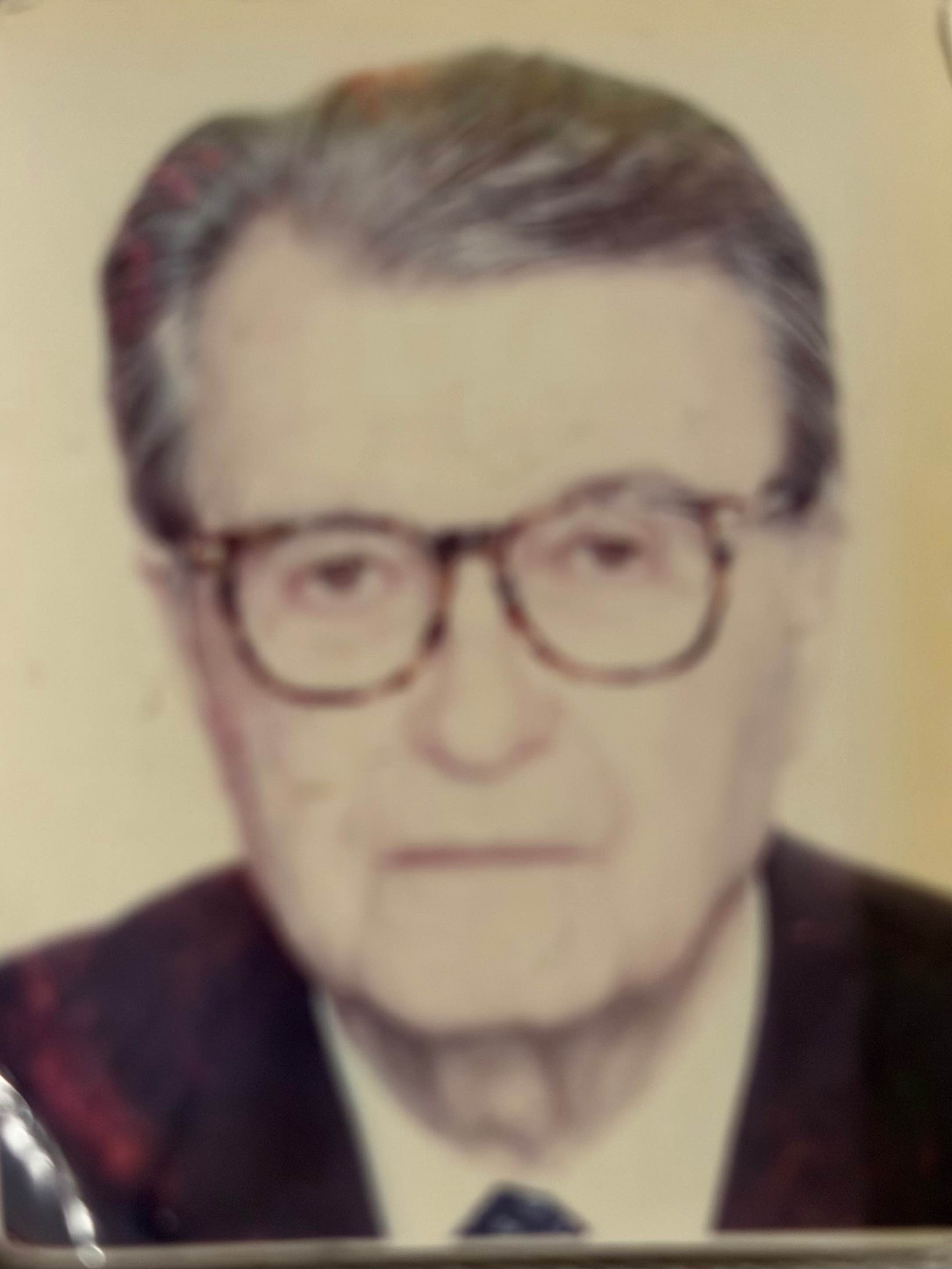 Prof. Dr. Ibrahim  Karabegović