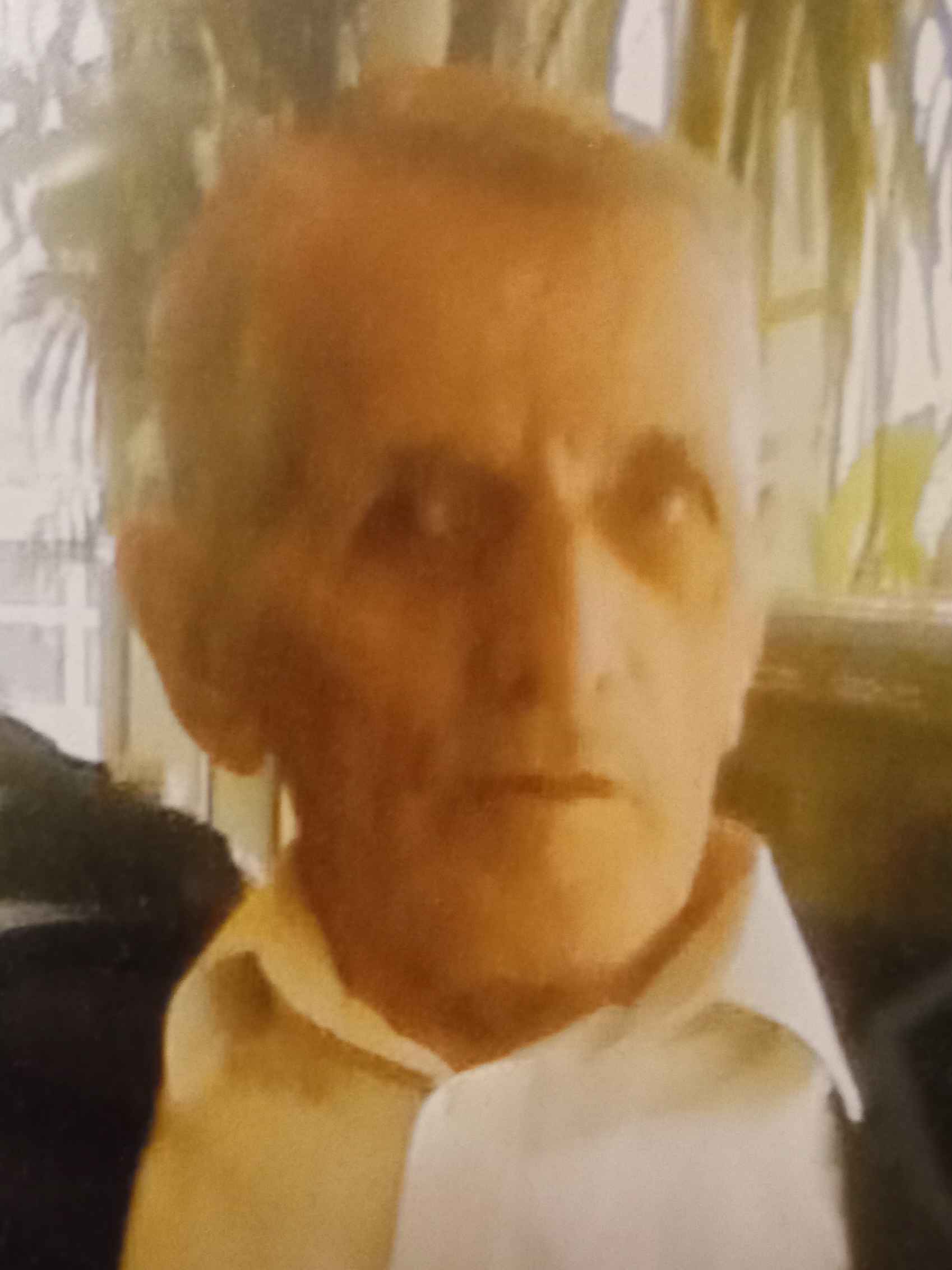Meho Hebibović